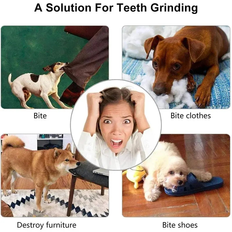 Product image: Dog Treat Dispensing Ball Toy
