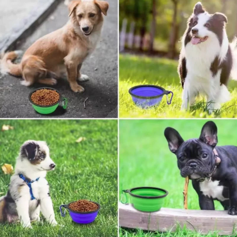 Product image: Collapsible Travel Pet Bowl with Carabiner