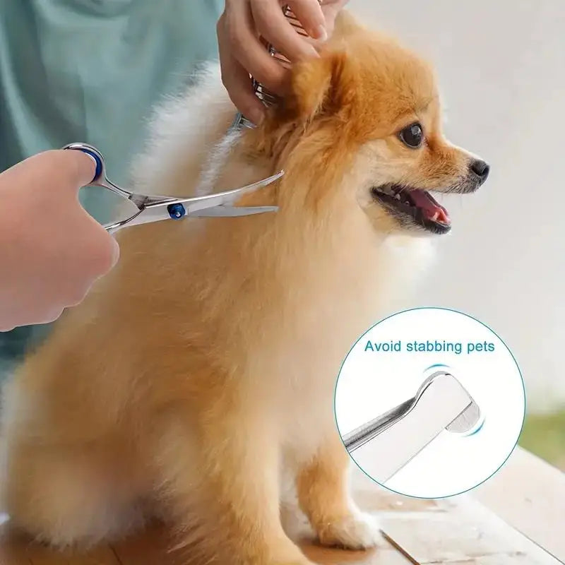 Product image: 4-Piece Pet Grooming Scissors & Comb Set