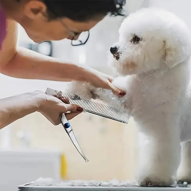 Product image: 4-Piece Pet Grooming Scissors & Comb Set