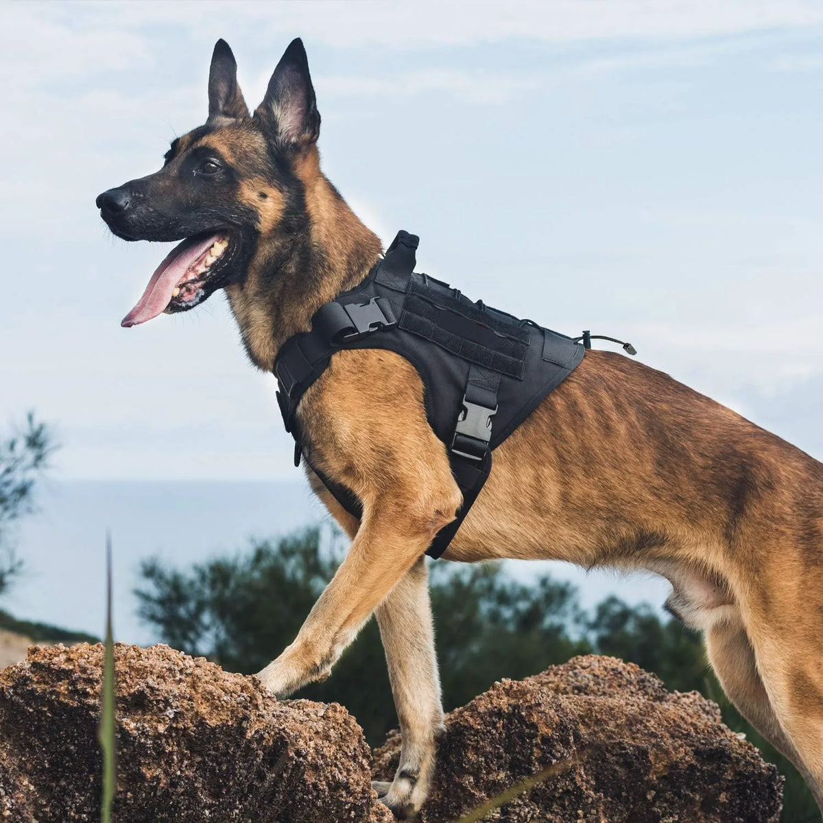Product image: Tactical No-Pull Dog Harness with Handle